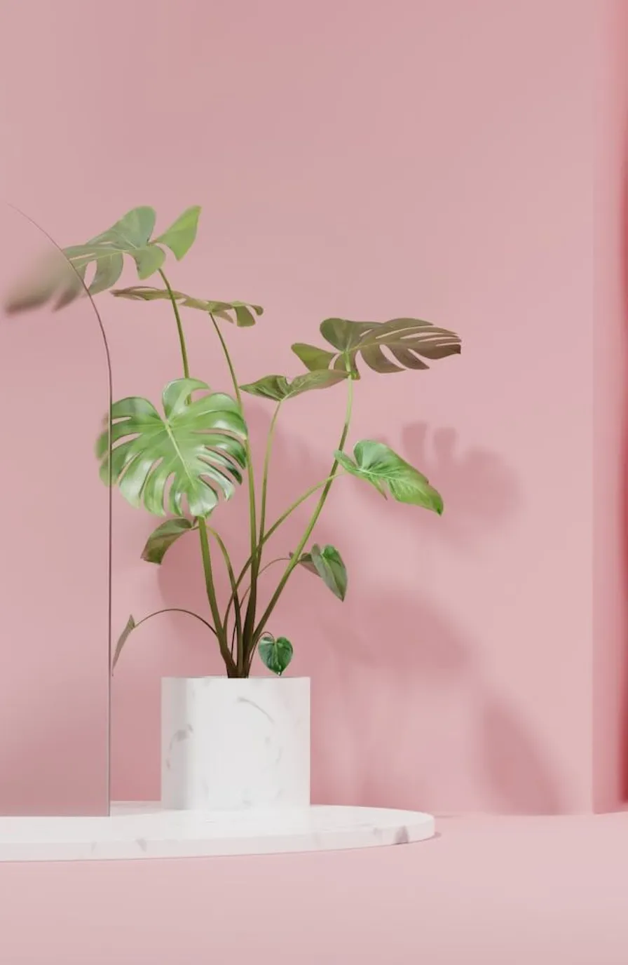 R volutionner l'exp rience client