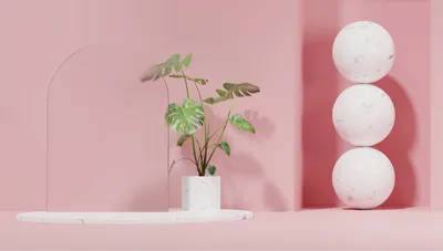 R volutionner l'exp rience client